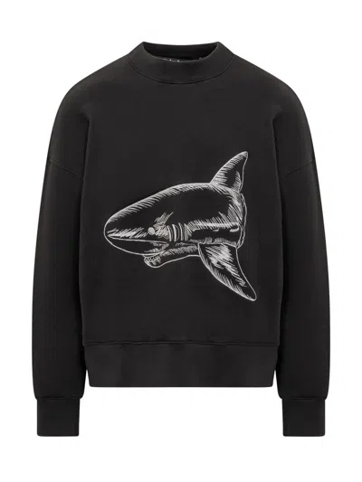 Shop Palm Angels Shark Sweatshirt In Black