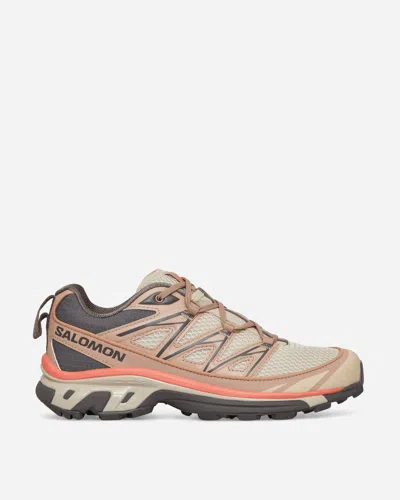 Shop Salomon Xt-6 Expanse Sneakers Natural / Cement In Brown
