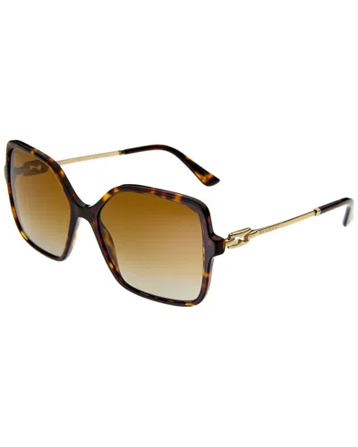 Shop Bulgari Women's Bv8250 57mm Sunglasses In Brown