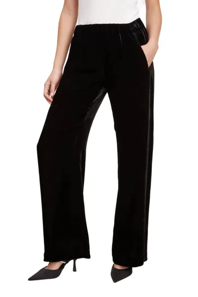 Velvet By Graham & Spencer Frida Pant In Black In Black