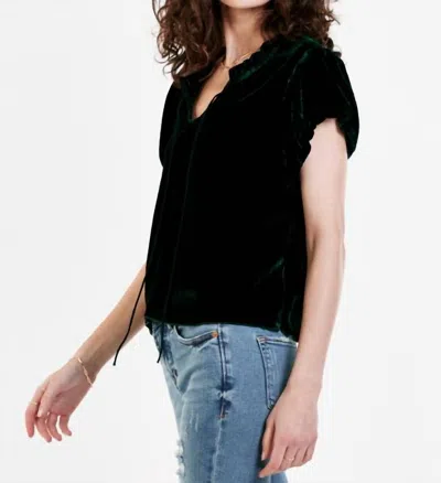 Dear John Denim Maggie Sycamore Velvet Top In Green In Green