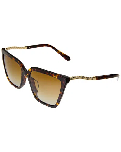 Shop Bulgari Women's Bv8255bf 57mm Sunglasses In Brown