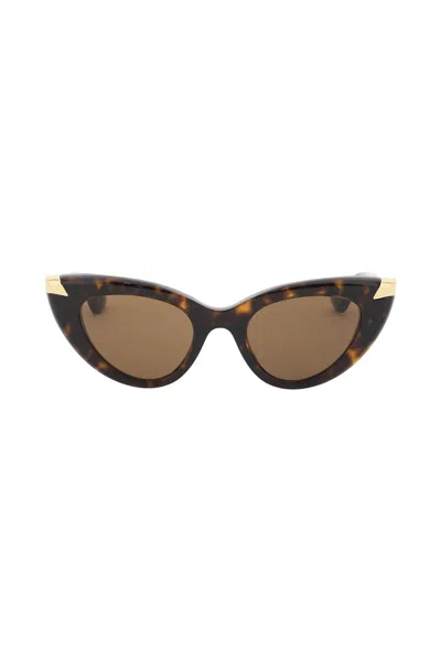 Shop Alexander Mcqueen Punk Rivet Cat-eye Sunglasses For In Brown