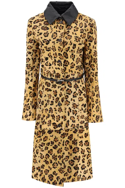 Shop Saks Potts 'ginger' Leopard Motif Ponyskin Coat In Mixed Colours