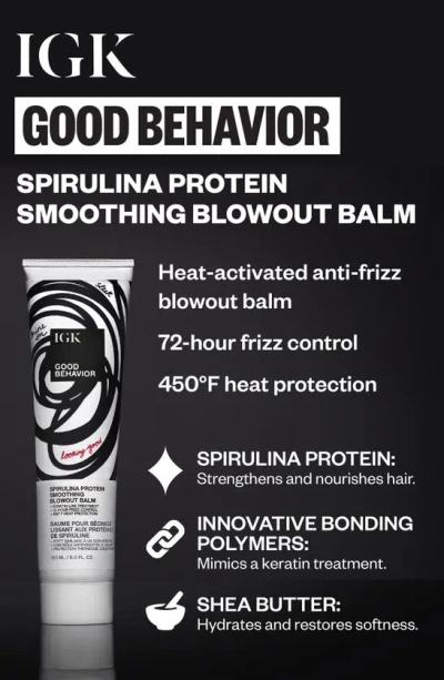 Igk Good Behavior Spirulina Protein Smoothing Blowout Balm