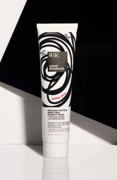 Igk Good Behavior Spirulina Protein Smoothing Blowout Balm