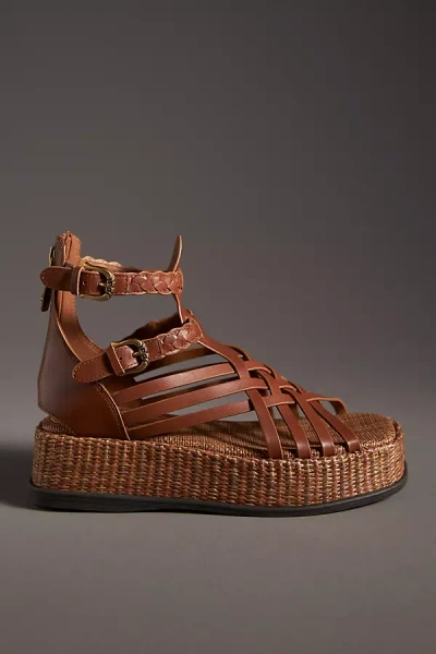 Shop Sam Edelman Nicki Gladiator Platform Sandals In Brown