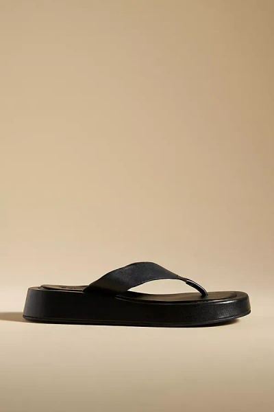 Shop Seychelles Nautical Sandals In Black