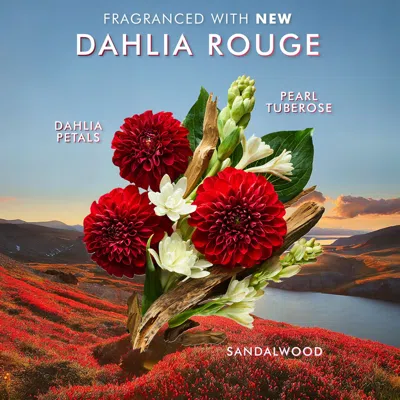 Moroccanoil Dahlia Rouge Hand Cream 100ml In Default Title