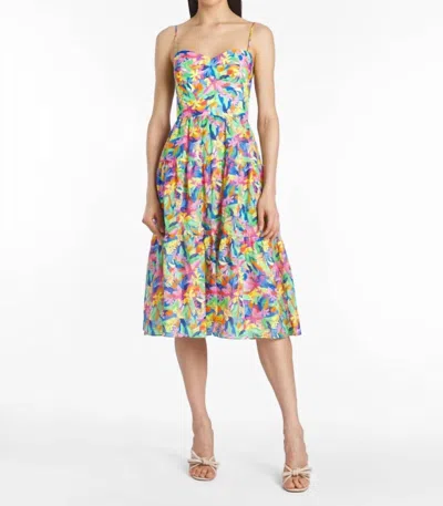 Shop Amanda Uprichard Tula Midi Dress In Paradiso Print In Multi