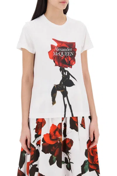 Shop Alexander Mcqueen Shadow Rose T-shirt In White
