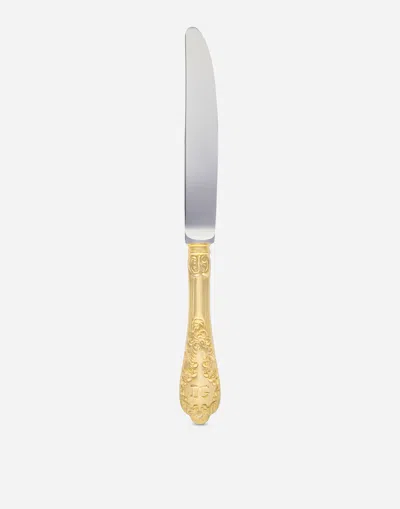 Dolce & Gabbana Coltello Pasto In Multicolor