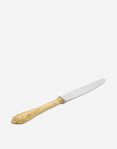 Dolce & Gabbana Coltello Pasto In Multicolor