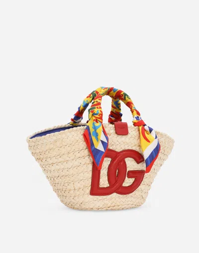 Dolce & Gabbana Shopping Kendra Piccola In Multicolor
