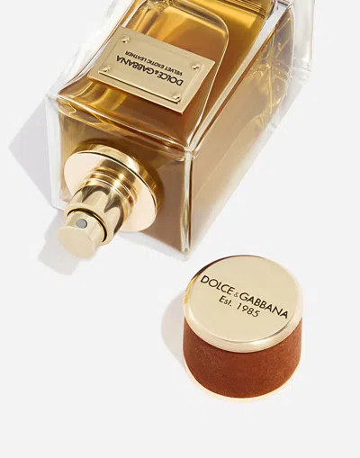 Dolce & Gabbana Velvet Exotic Leather Edp 100ml In -