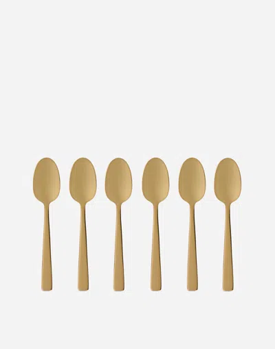 Dolce & Gabbana Set 6 Inox Coffee Spoons In Multicolor