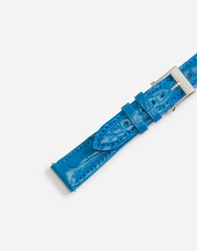 Dolce & Gabbana Alligator Strap With Buckle And Hook In Steel In Blue