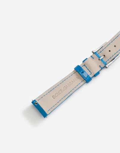 Dolce & Gabbana Alligator Strap With Buckle And Hook In Steel In Blue