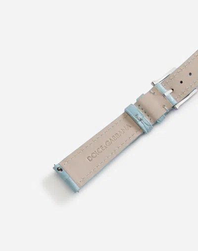 Dolce & Gabbana Alligator Strap With Buckle And Hook In Steel In Light Blue