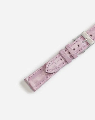 Dolce & Gabbana Alligator Strap With Buckle And Hook In Steel In Mauve