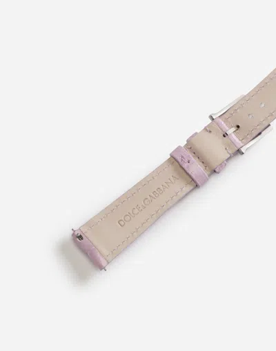 Dolce & Gabbana Alligator Strap With Buckle And Hook In Steel In Mauve