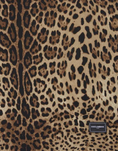 Dolce & Gabbana Wool And Silk Blanket In Multicolor