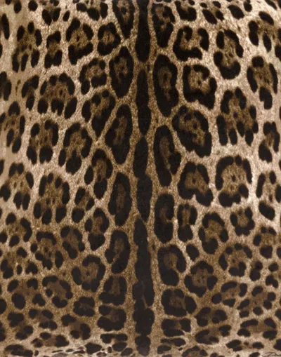 Dolce & Gabbana Velvet Cushion Medium In Multicolor