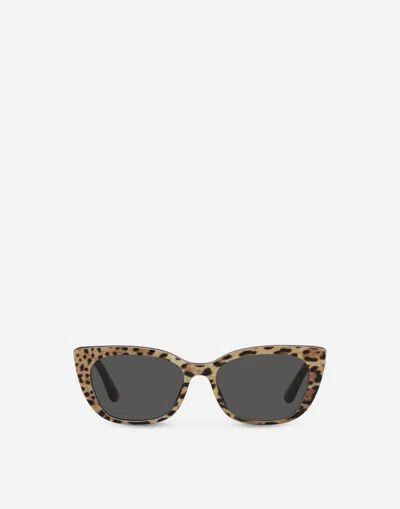 Dolce & Gabbana Occhiale Sole In Leo Print