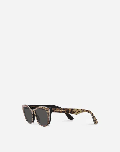 Dolce & Gabbana Occhiale Sole In Leo Print