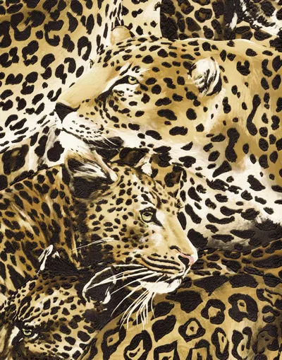 Dolce & Gabbana Wallpaper In Multicolor
