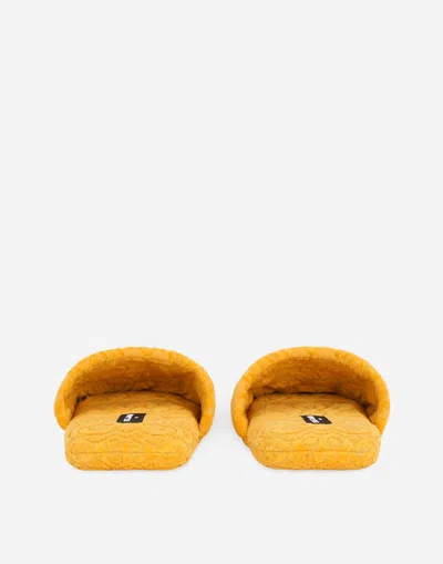Dolce & Gabbana Terry Cotton Dg Slippers In Multicolor