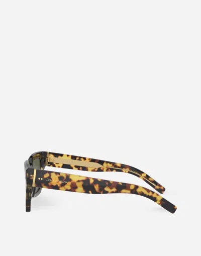 Dolce & Gabbana Dolce And Gabbana Green Square Mens Sunglasses Dg4413 337552 48 In Yellow Havana