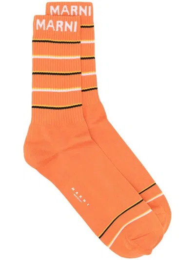 Shop Marni Socks Clothing In Yellow & Orange