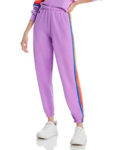 Shop Aviator Nation Rainbow Stripe Sweatpants In Neon Purple Rainbow