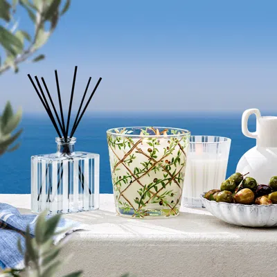 Shop Nest Santorini Olive & Citron Specialty 3 Wick Candle In Default Title