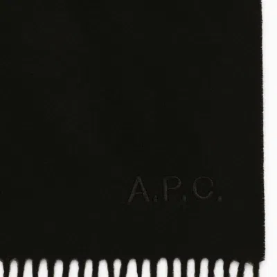 Shop Apc A.p.c. Ambroise Brodée Scarf In Black