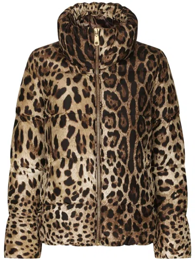 Shop Dolce & Gabbana Leopard Print Nylon Down Jacket In Brown