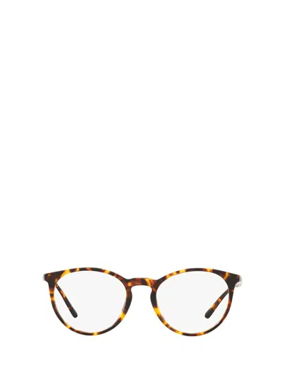 Shop Polo Ralph Lauren Eyeglasses In Shiny Antique Tortoise