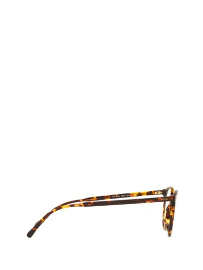Shop Polo Ralph Lauren Eyeglasses In Shiny Antique Tortoise