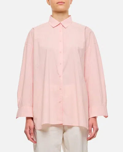 Shop Casey & Casey Hamnet Cotton Shirt In Rose