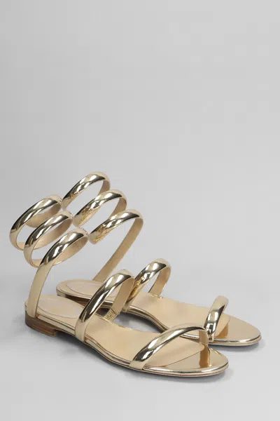 Shop René Caovilla Serpente Sandals In Gold Leather