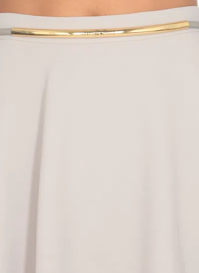 Shop Elisabetta Franchi Crepe Skirt In Grey