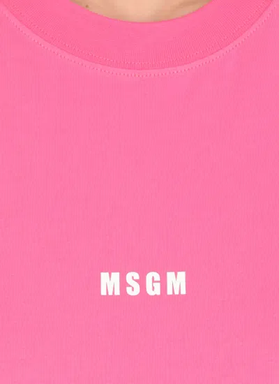Shop Msgm T-shirt With Logo In Fuchsia