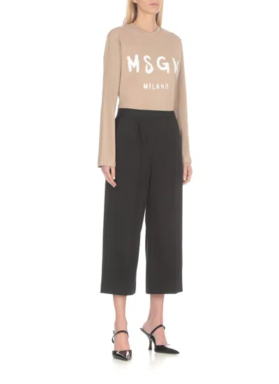 Msgm Wool Pants In Black