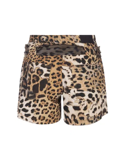 Shop Roberto Cavalli Jaguar Skin Print Shorts In Brown