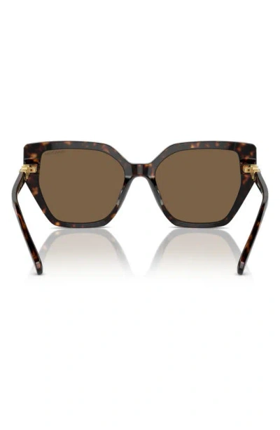 Swarovski Constella 56mm Polarized Irregular Sunglasses In Dark Havana