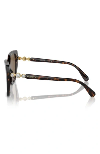 Swarovski Constella 56mm Polarized Irregular Sunglasses In Dark Havana