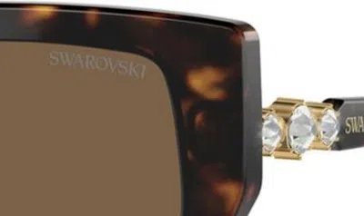 Swarovski Constella 56mm Polarized Irregular Sunglasses In Dark Havana