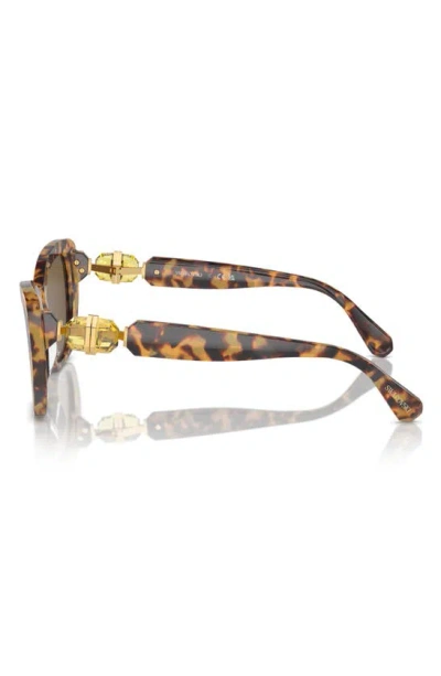 Shop Swarovski 52mm Cat Eye Sunglasses In Dark Brown