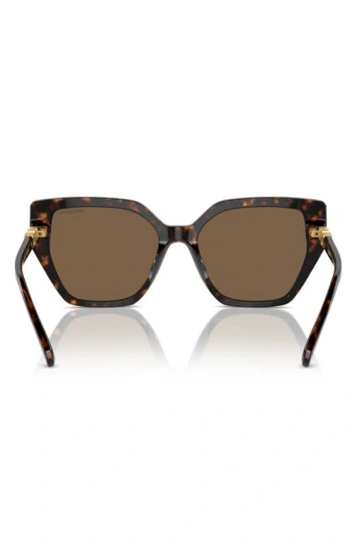 Swarovski Constella 56mm Polarized Irregular Sunglasses In Dark Havana